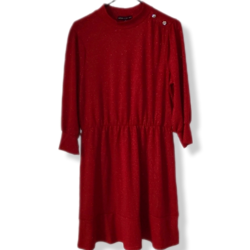 NWT Adrienne Vittadini Women's Dress size XL